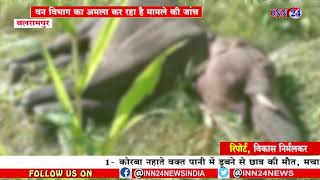 INN24:बलरामपुर वाड्रफनगर वन परिक्षेत्र मे हुयी एक और हाथी की मौत,10 दिनो मे हुई 2 हांथीयों की मौत |
