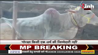 Allahabad HC की अहम टिप्पणी - गाय को राष्ट्रीय पशु घोषित किया जाए, सरकार इस पर सदन में बिल लाए