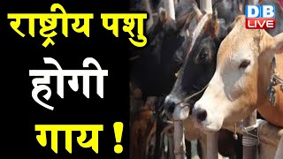 Cow की जान लेने वालों की बख्शा नहीं जाएगा : Allahabad High Court की बड़ी टिप्पणी | National Animal