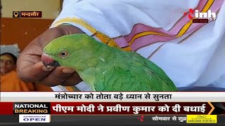 संस्कृत की पाठशाला का अनोखा स्टूडेंट, वेद-शास्त्रों की शिक्षा लेने आता है तोता