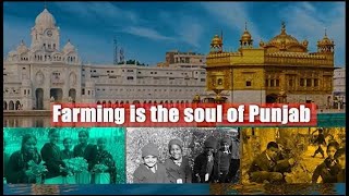 Farming is the soul of Punjab