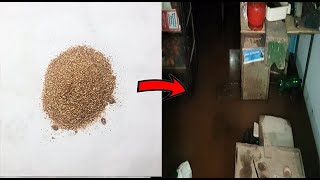 Gold dust washed away in Mapusa! WATCH What happened