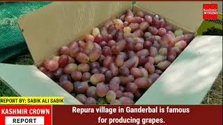 Repura village in Ganderbal is famous for producing grapes.