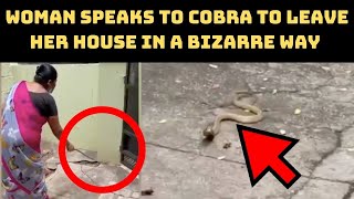 Watch: Woman Speaks To Cobra To Leave Her House In A Bizarre Way | Catch News