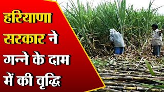 Haryana: किसानों को सरकार की सौगात, गन्ना के बढ़े दाम