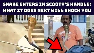 Watch: Snake Enters In Scooty's Handle; What It Does Next Will Shock You | Catch News