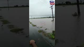 ગુજરાતમાં સતત વરસાદ પડવાને કારણે વાતાવરણ પ્રકૃતિમય,પડધરીના ગઢડા રોડ પરનો જુઓ વીડિયો | ABTAK MEDIA