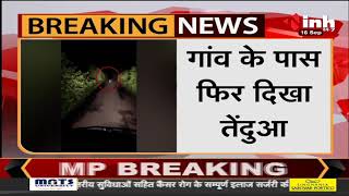 Madhya Pradesh News || बागली, गांव के पास फिर दिखा तेंदुआ