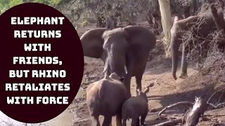 Horrifying Fight Video Between Elephant And Rhino Goes Viral | Catch News