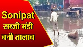 Sonipat: सब्जी मंडी हुई तालाब में तबदील, भरा कई फीट तक पानी