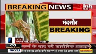 Madhya Pradesh News || Dengue Outbreak, डेंगू का आंकड़ा पहुंचा एक हजार - दो लोगों की हुई मौत