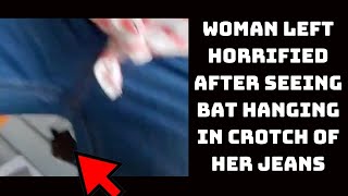 Woman Left Horrified After Seeing Bat Hanging In Crotch Of Her Jeans | Catch News