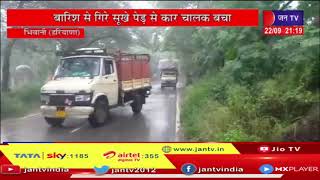 Bhiwani Haryana | बारिश से गिरे सूखे पेड़ बाल-बाल बचा कार चालक, वन विभाग पर लगाया लापरवाही का आरोप