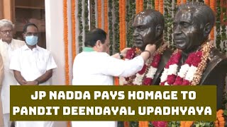 JP Nadda Pays Homage To Pandit Deendayal Upadhyaya On His Birth Anniversary | Catch News
