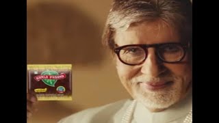 Amitabh Bachchan Asked to Withdraw From a Pan Masala Ad by Dr Shekhar Salkar