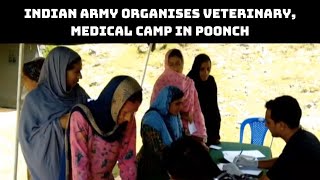 Indian Army Organises Veterinary, Medical Camp In Poonch | Catch News