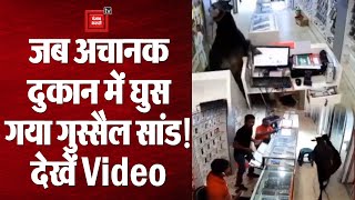 जब अचानक दुकान में घुस गया गुस्सैल सांड, सीसीटीवी में कैद हुई पूरी घटना | देखें वीडियो