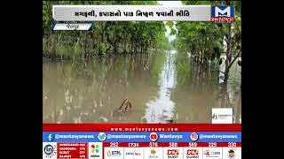 Jetpur: ખેતરોમાં વરસાદી પાણી ભરાયા | Mantavya News