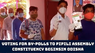 Voting For By-Polls To Pipili Assembly Constituency Begins In Odisha | Catch News