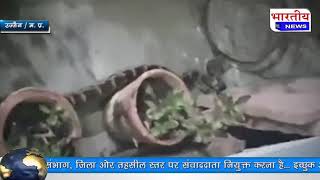उज्जैन : देवास रोड स्थित में एक मकान में निकला 8 फीट लंबा साप.. #bn #mp #bhartiyanews #ujjain