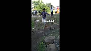 खतरनाक ब्लैक किंग कोबरा को कैसे पकड़ा युवक ने Viral video of king cobra standing up during rescue