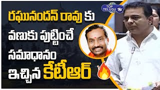 Minister KTR Strong Reply To MLA Raghunandan Rao | Assembly Session Live 2021 | Top Telugu TV