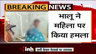 Chhattisgarh News || Balrampur में भालू ने महिला पर किया हमला हुई घायल, अस्पताल में कराया भर्ती