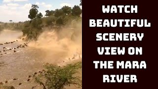 Watch Beautiful Scenery View On The Mara River | Catch News