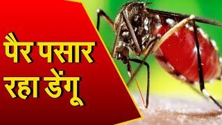 Dengue : रेवाडी में पैर पसार रहा डेंगू | बीते 24 घंटे में सामने आए 10 मरीज | 3 की मौत