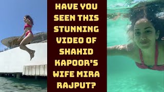 Have You Seen This Stunning Video Of Shahid Kapoor’s Wife Mira Rajput? | Catch News