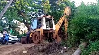 #Shocking | Chemical is poured to destroy trees at Miramar beach?