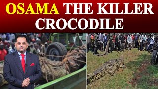 80 लोगों को जिंदा चबा चुका है THE KILLER CROCODILE ‘ओसामा’, देखिए कैसे पकड़ा