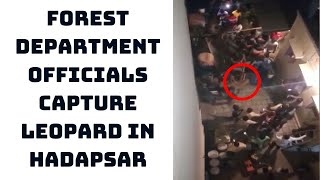 Pune: Forest Department Officials Capture Leopard In Hadapsar | Catch News