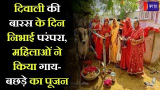 Khargone News |  दिवाली की बारस के दिन निभाई परंपरा, महिलाओं ने किया गाय-बछड़े का पूजन