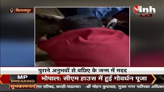 Chhattisgarh News || दिवाली की रात IG के घर आई 'लक्ष्मी' IPS Ratan Lal Dangi ने कराई गाय की डिलीवरी