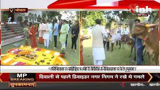 Madhya Pradesh News || CM House में गोवर्धन पूजा, Shivraj Singh Chouhan ने की पूजा अर्चना
