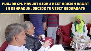 Punjab CM, Navjot Sidhu Meet Harish Rawat In Dehradun, Decide To Visit Kedarnath | Catch News