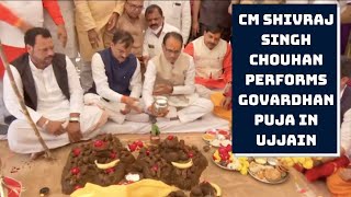 CM Shivraj Singh Chouhan Performs Govardhan Puja In Ujjain | Catch News