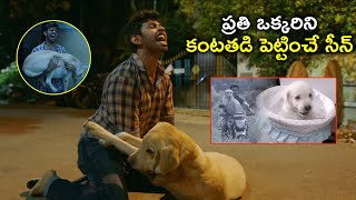 Watch Comedy Movie Puppy Puppy On Youtube | ప్రతి ఒక్కరిని కంటతడి పెట్టించే సీన్ | Yogi Babu