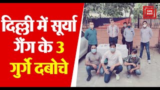 Delhi में सूर्या गैंग के 3 गुर्गे दबोचे, 9 जिंदा कारतूस, 2 देसी कट्टे और पिस्टल बरामद