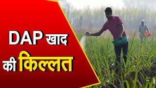 Haryana में DAP खाद की किल्लत जारी | रेवाड़ी, रतिया समेत कई अन्य जगहों पर भी भड़के लोग