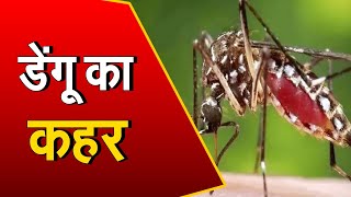 Haryana में बढ़ रहा Dengue का खतरा | लगातार सामने आ रहे नए मरीज || Dengue Patients ||