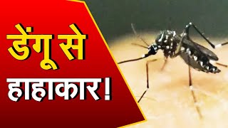 Haryana में Dengue से हाहाकार | लगातार बढ़ रहे केस | स्वास्थय विभाग में मचा हड़कंप