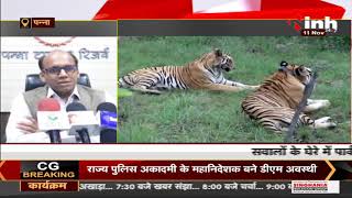 Madhya Pradesh News || Panna टाइगर रिजर्व में बाघिन की मौत, सवालों के घेरे में पार्क प्रबंधन