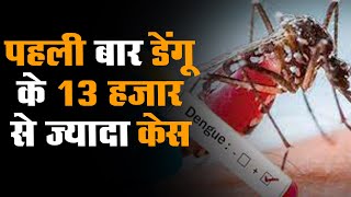 पहली बार डेंगू के 13 हजार से ज्यादा केस | Rajasthan में डेंगू से 34 मौत