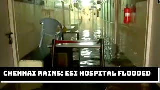 Chennai Rains: ESI Hospital Flooded | Catch News