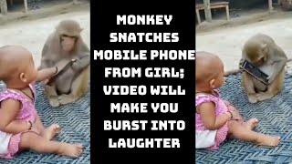 Monkey Snatches Mobile Phone From Girl ;Video Will Make You Burst Into Laughter | Catch News
