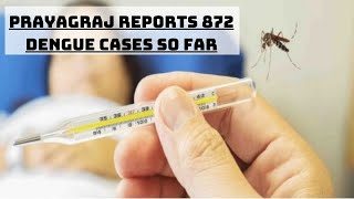 UP: Prayagraj Reports 872 Dengue Cases So Far | Catch News