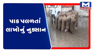 રાધનપુર માર્કેટયાર્ડમાં રાખેલો પાક પલળ્યો