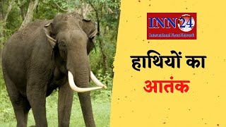 Kawardha__घूम रहा हाथियों का दल, उत्पात जारी